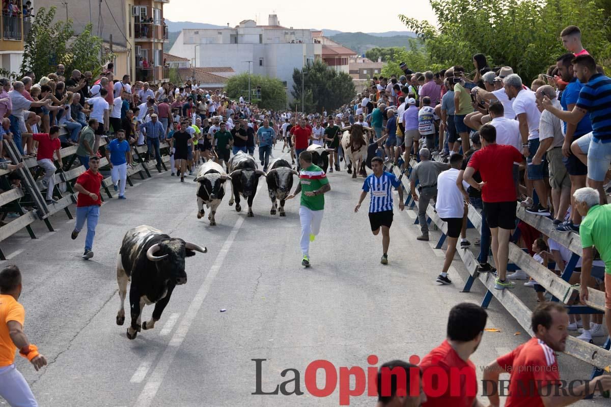 Primer encierro de la Feria del Arroz de Calasparra