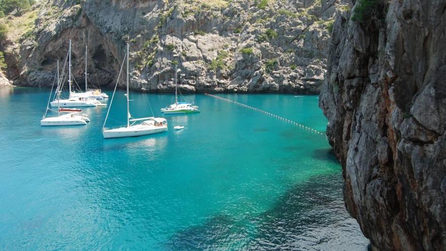 Los fondos marinos de la Serra de Tramuntana carecen de protección