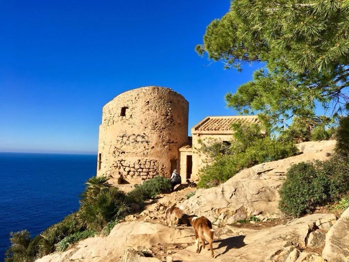Die Tour bei Sant Elm macht auch mit Vierbeinern Spaß