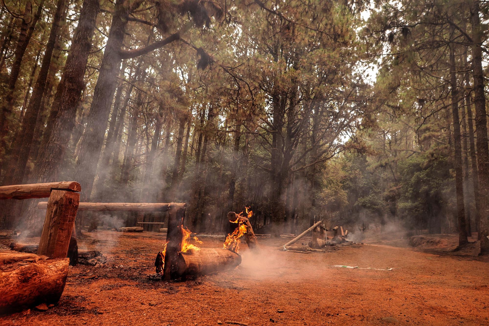 Evolución del incendio en Tenerife