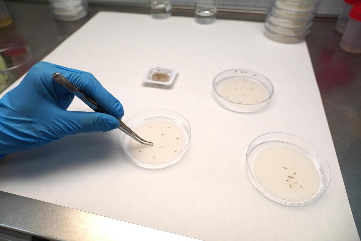 Pruebas de laboratorio en las instalaciones de Inescop.