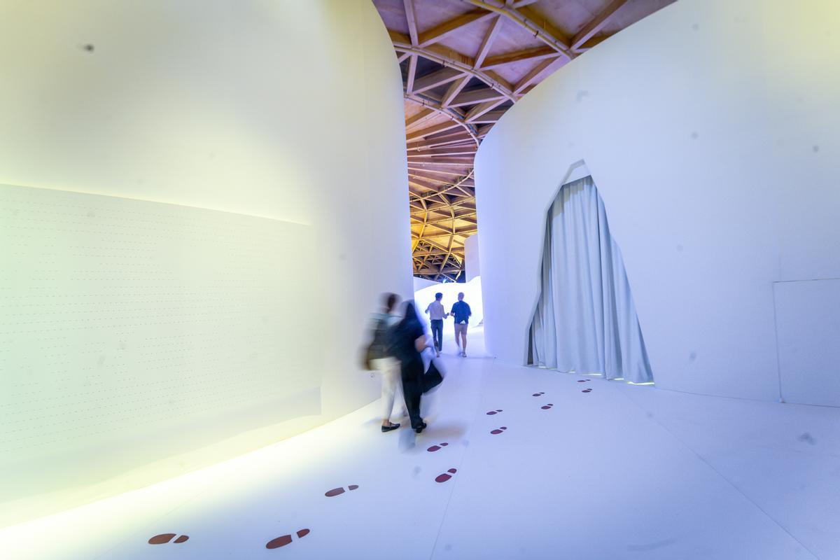 Llega Antarctica Experience,  exposición inmersiva en la Cúpula Arenas