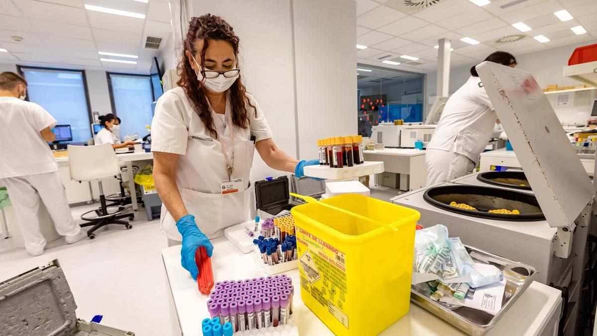 Una trabajadora del laboratorio prepara los tubos con muestras de los enfermos