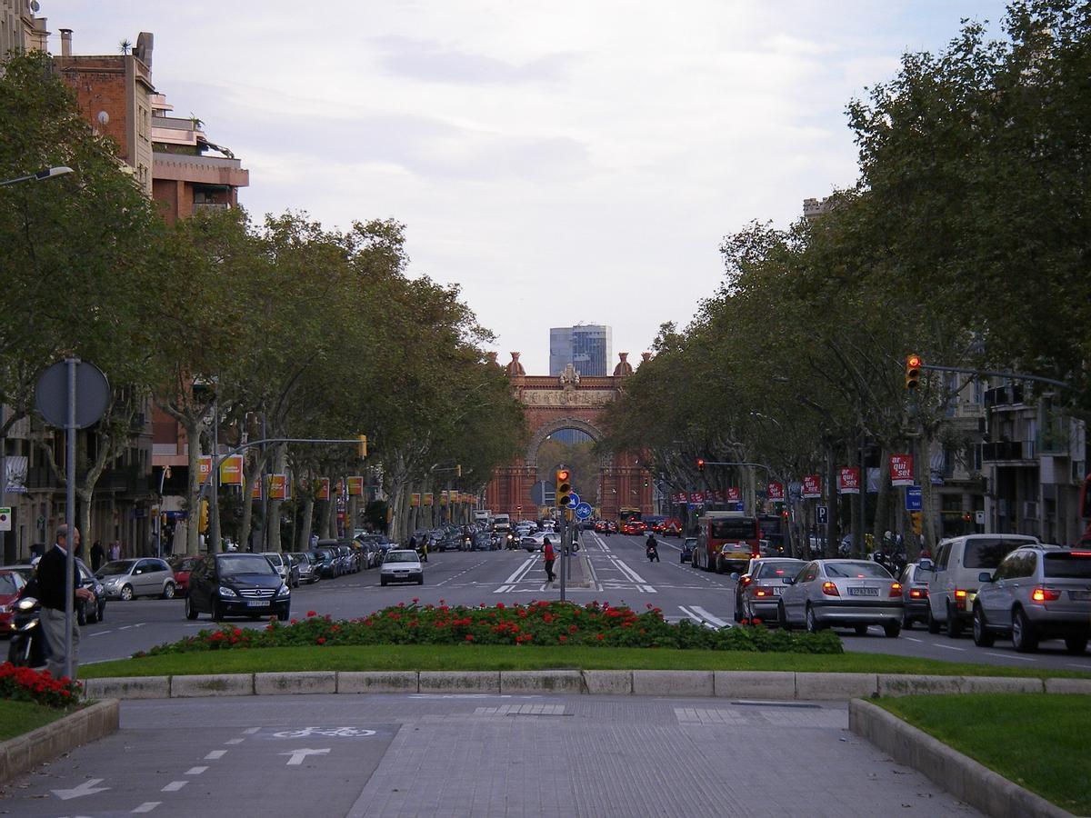Vegetación en las Ramblas, en Barcelona.