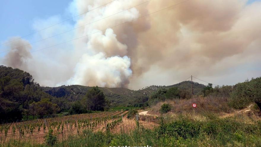 Un incendi al Garraf avança sense control i obliga a confinar dues urbanitzacions