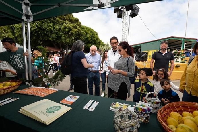 Feria Ecológica de Gran Canaria