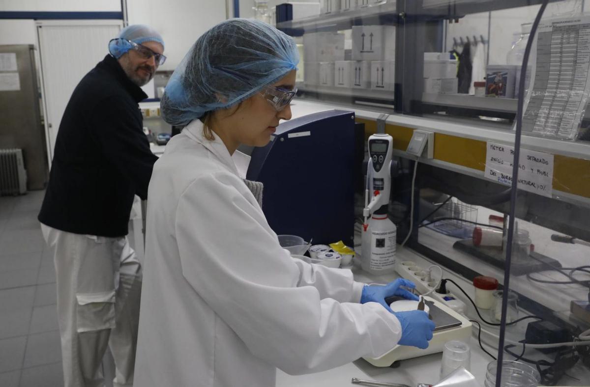 L’FP guanya prestigi social malgrat que la formació dual és la gran desconeguda