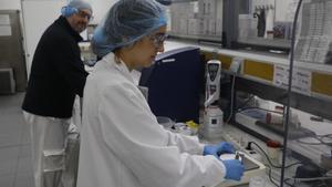 L’FP guanya prestigi social malgrat que la formació dual és la gran desconeguda