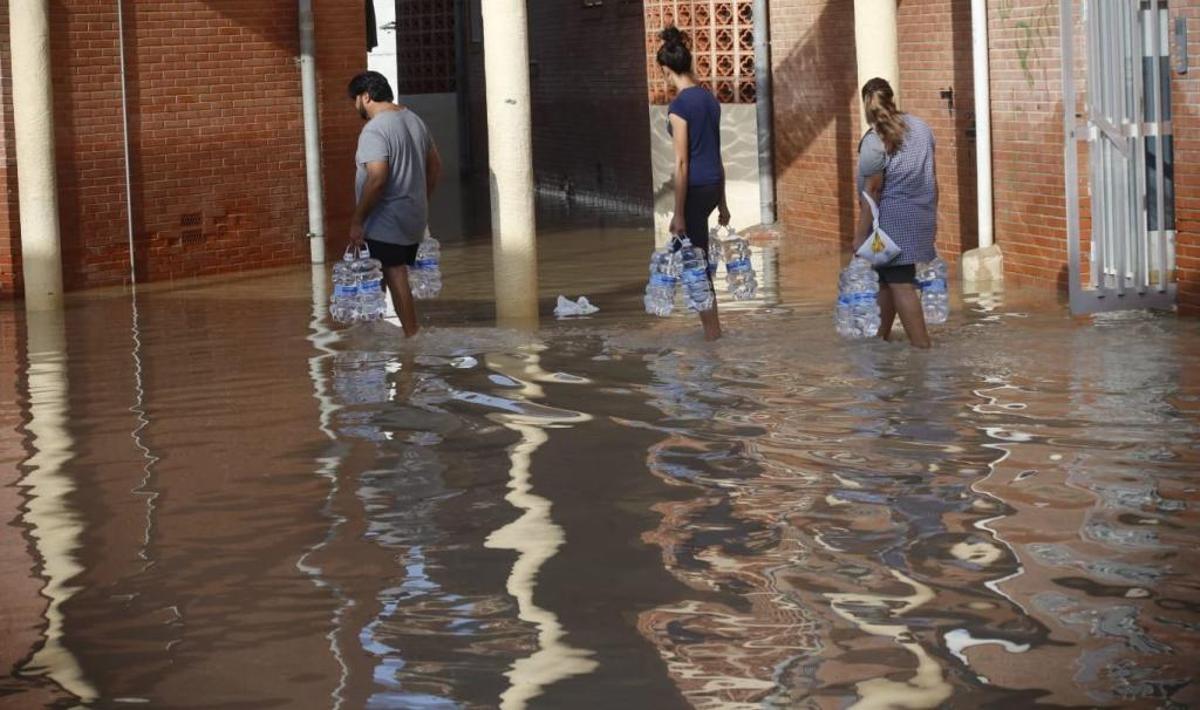 En directo: Los agricultores cifran en 550 millones las pérdidas en el campo de la provincia de Alicante