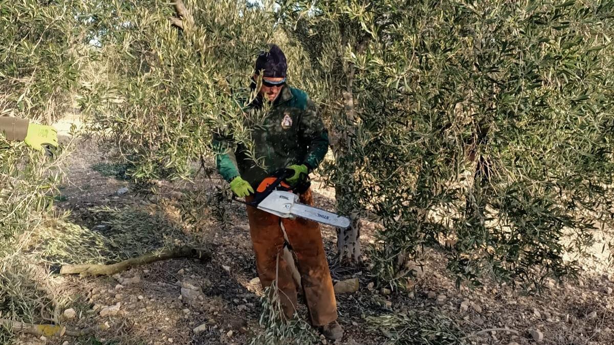 Uno de los agricultores que han participado en los cursos de Endesa y Asaja.