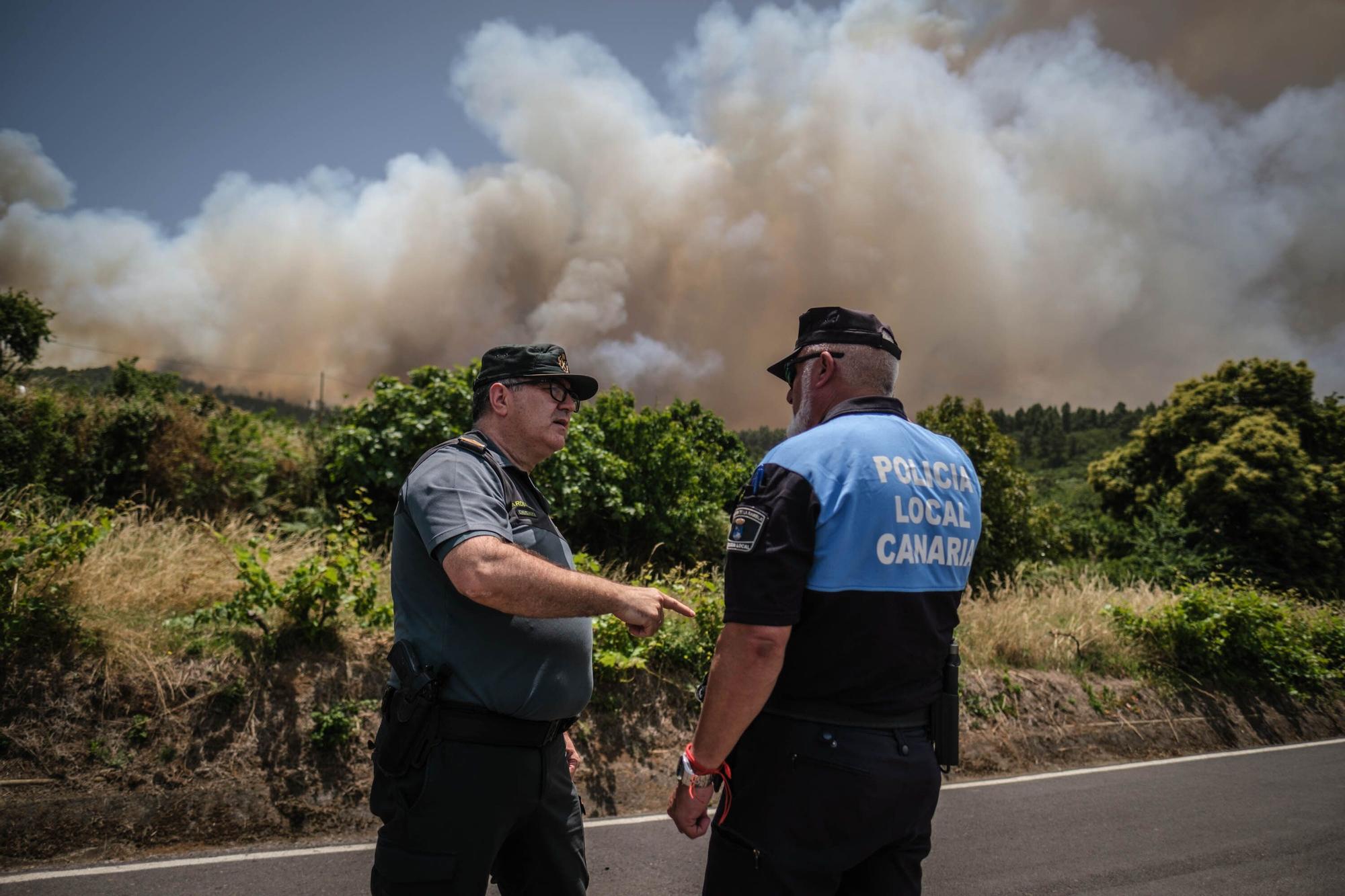 Incendio forestal en Tenerife