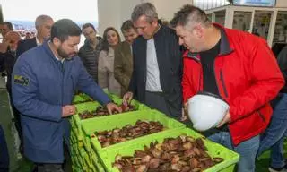 Rueda arropa al sector del mar en otro día de récord para la volandeira