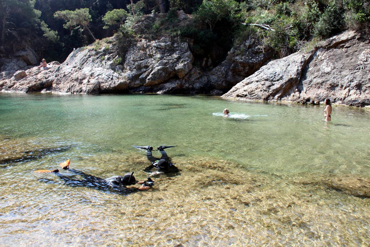 Els dos submarinistes del CEAB analitzant l'estat de les algues de la Cala Bona de Tossa de Mar amb alguns banyistes al costat