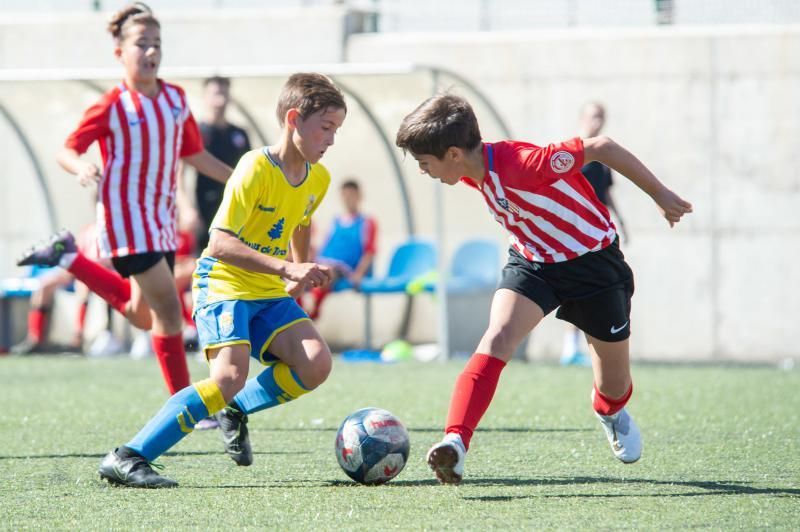 Las Palmas - Huracán (alevines)  | 01/02/2020 | Fotógrafo: Tony Hernández