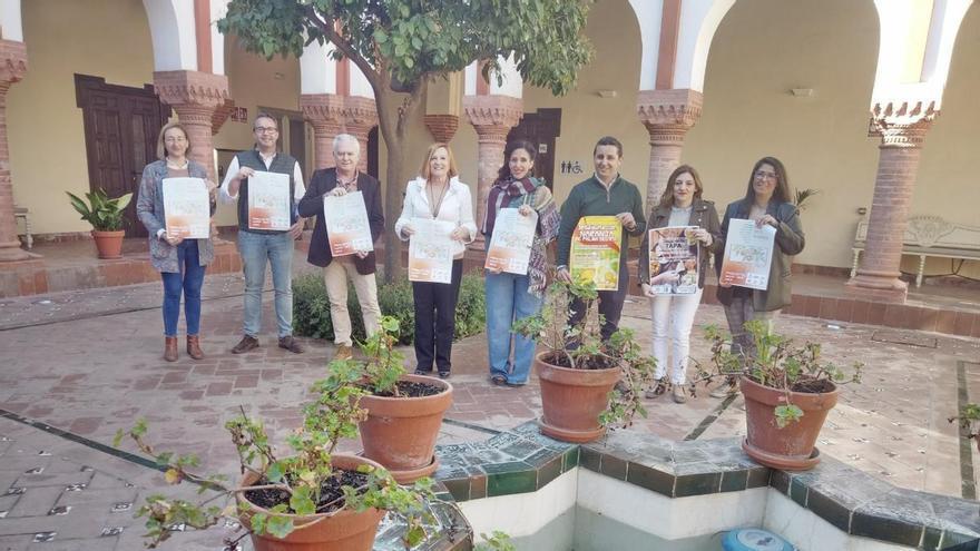 El Mes de la Naranja de Palma del Río abre un escaparate de su mercado laboral a los estudiantes