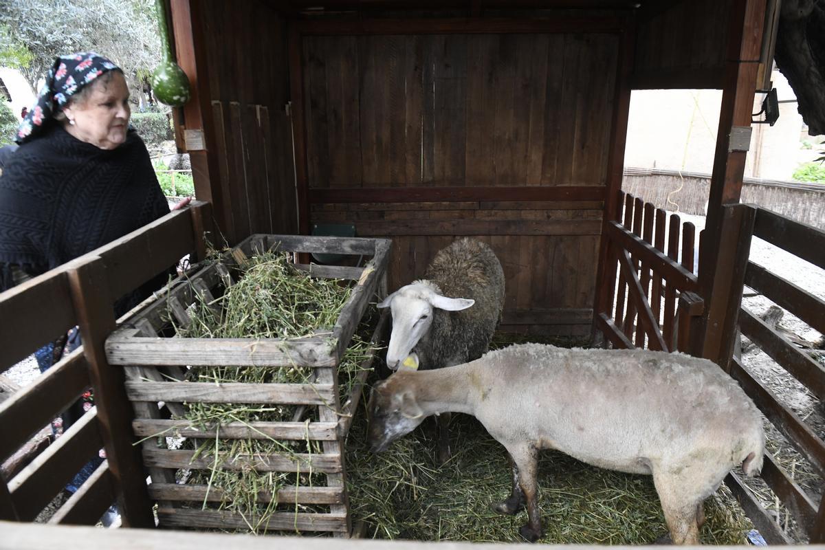 Así es el Belén viviente de El Raal
