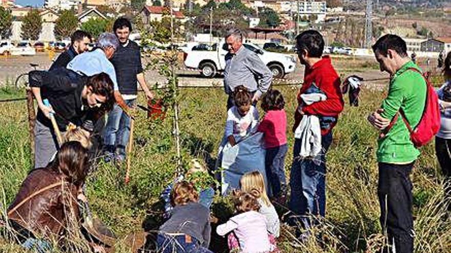 Una de les plantades populars realitzades al llarg del projecte