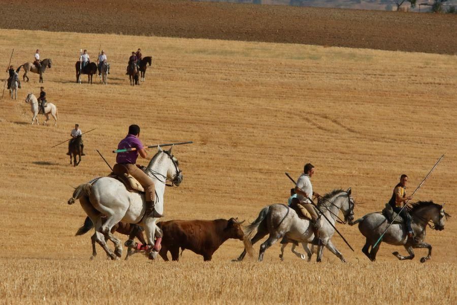 Encierro popular en Sanzoles