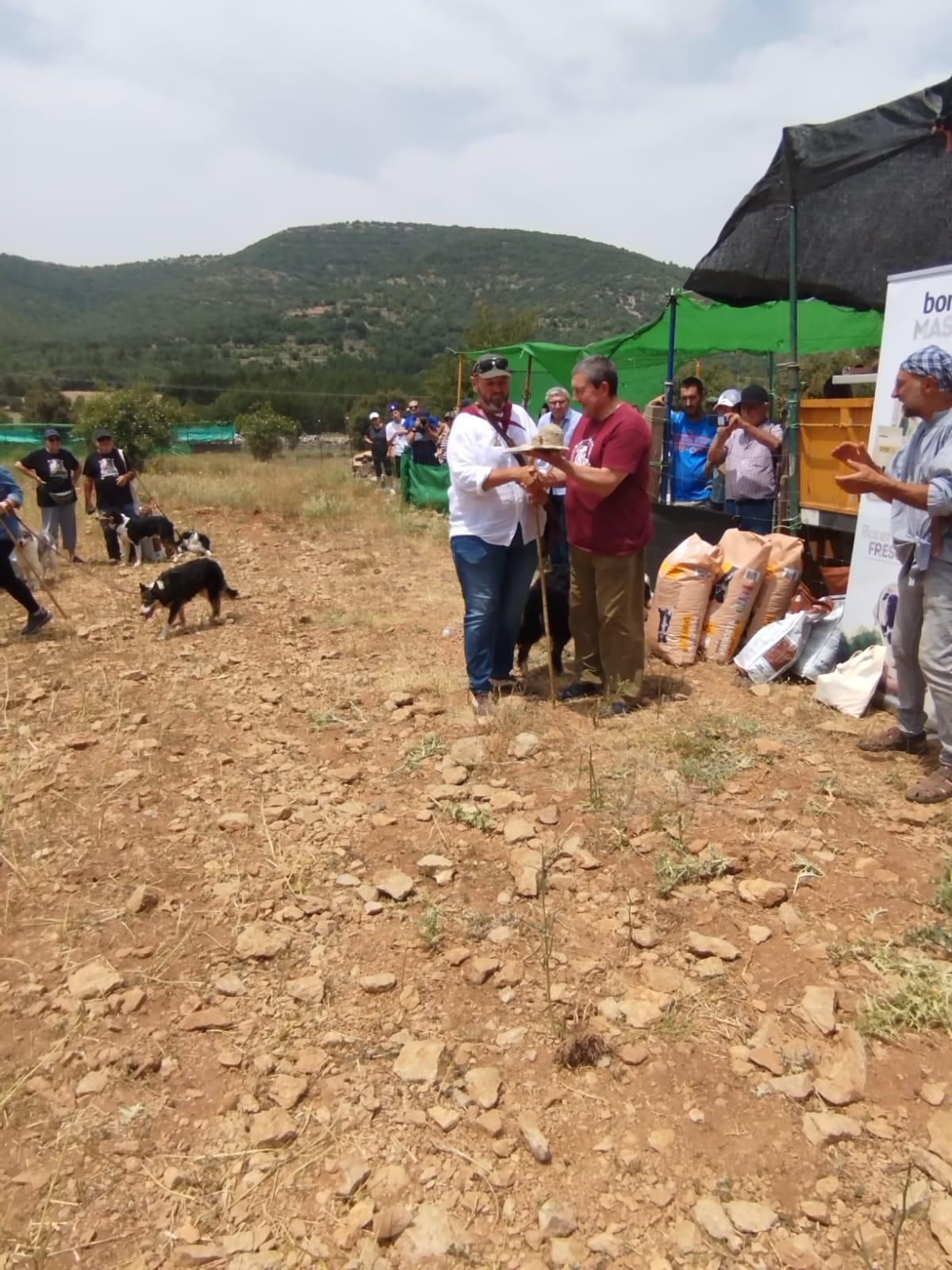FOTOGALERÍA: Las imágenes del concurso de perros pastores de Ares del Maestrat