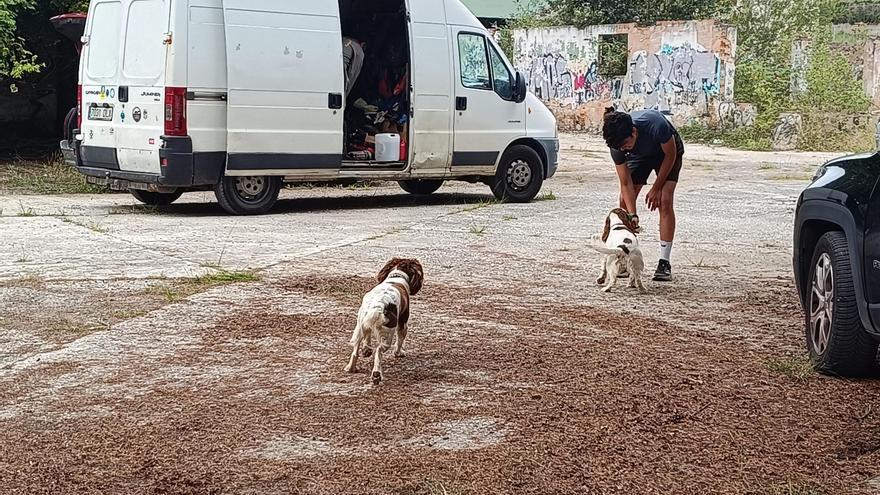 Así entrena la Unidad Canina de Rescate del Principado de Asturias, con sede en La Morgal