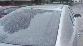 Una fuga de almidón provoca la alerta en el entorno de la fábrica de Tereos en Zaragoza