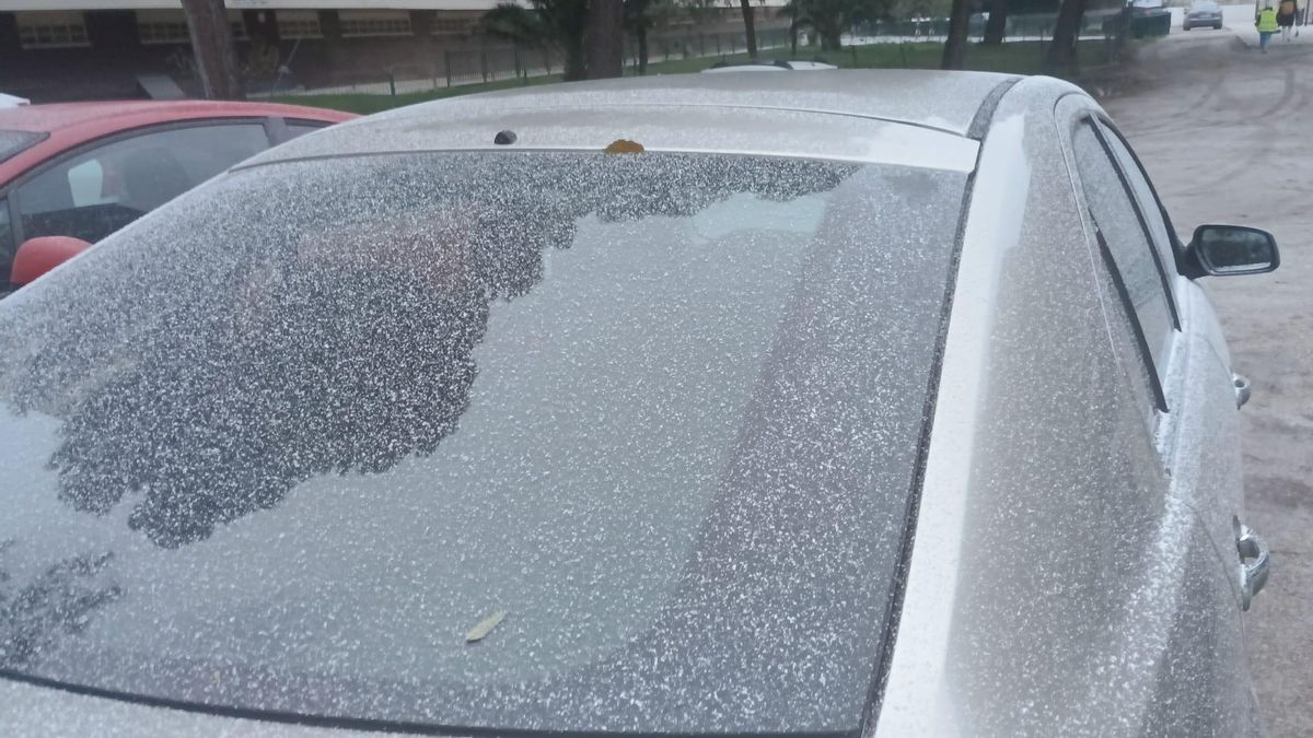 Un coche cubierto de almidón, este jueves en el Picarral.