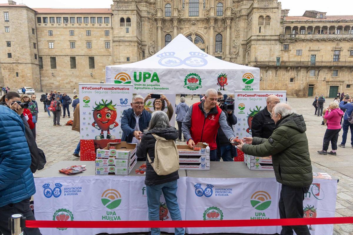Reparten fresas de Huelva en la plaza del Obradoiro para promover su "calidad y garantía"