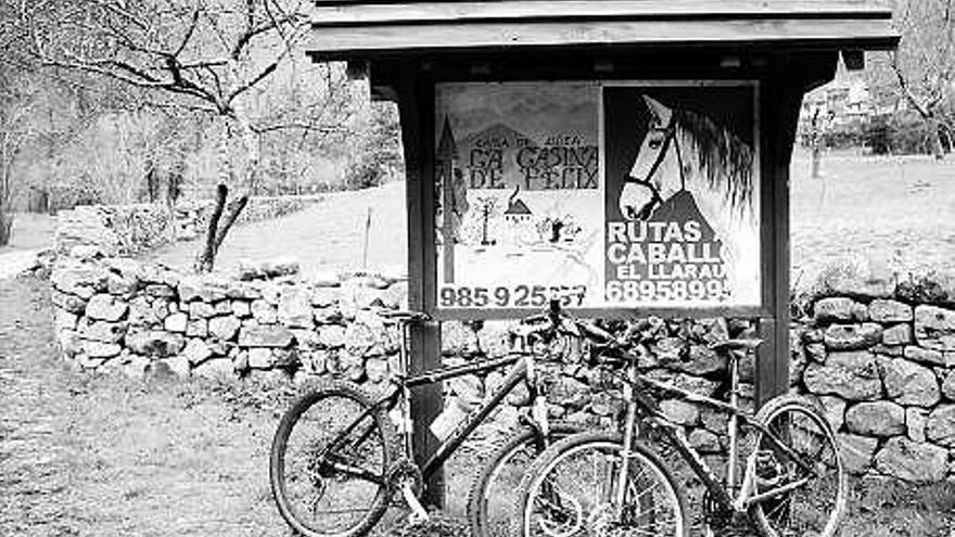 Las bicicletas, apoyadas en un panel al pie del camino.