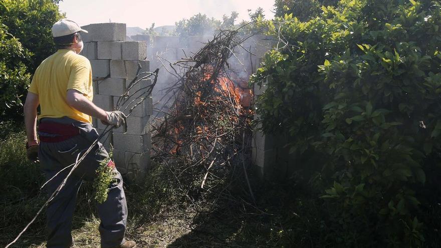 Gandia se adelanta al veto de quemar restos agrícolas y proyecta una planta de biomasa