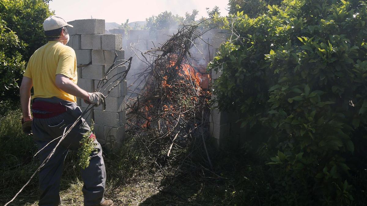 Un agricultor quema restos de poda en un campo de naranjos.