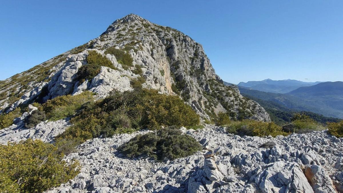 Wandern auf Mallorcas Berg der Legenden: Diese Galatzó-Runde hat es in sich