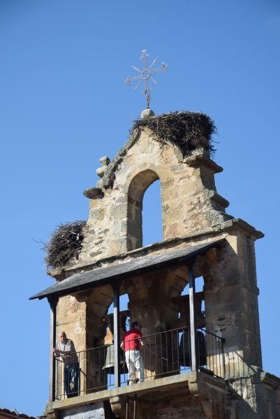 Semana Santa de Bercianos: Domingo de Ramos