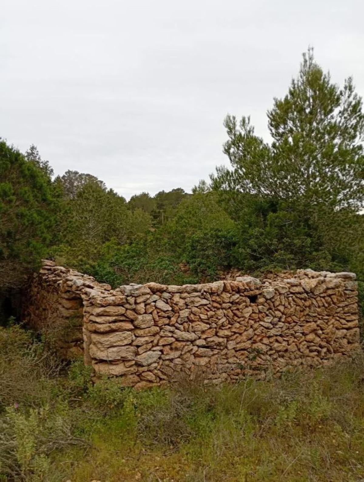 Una imagen de la construcción.