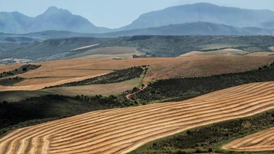 Tierras de cultivo