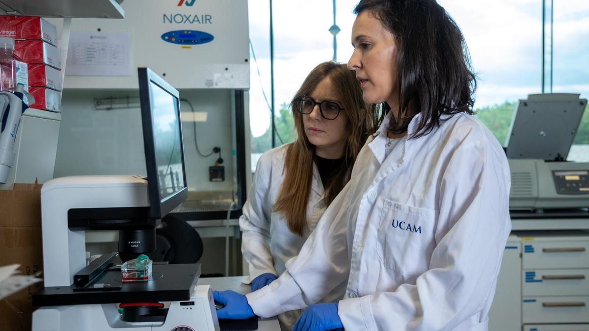 Con el Grupo ‘Metabolismo y Regulación Genética de Enfermedades’ investigará en el Laboratorio Juan Carlos Izpisúa del UCAM HiTech.