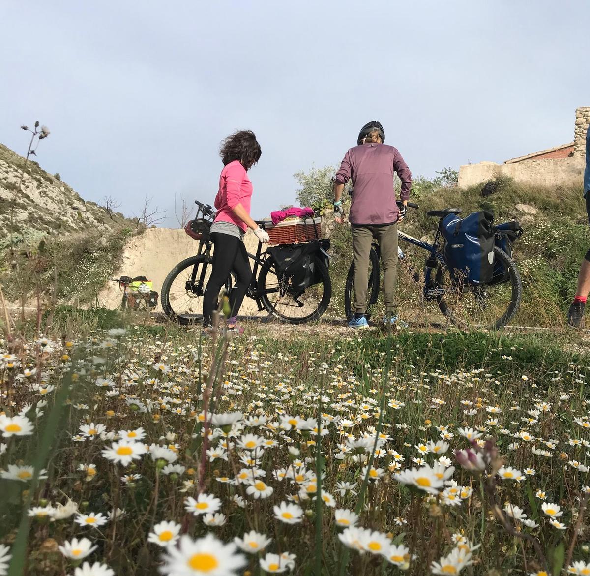 Una parada en el camino de dos cicloturistas de alforjas, en El Comtat, poco antes de la llegada de la primavera.