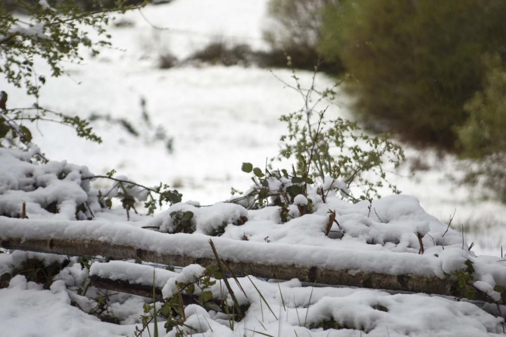 En plena primavera la nieve regresa a Deza. // Bernabé | Ana Agra