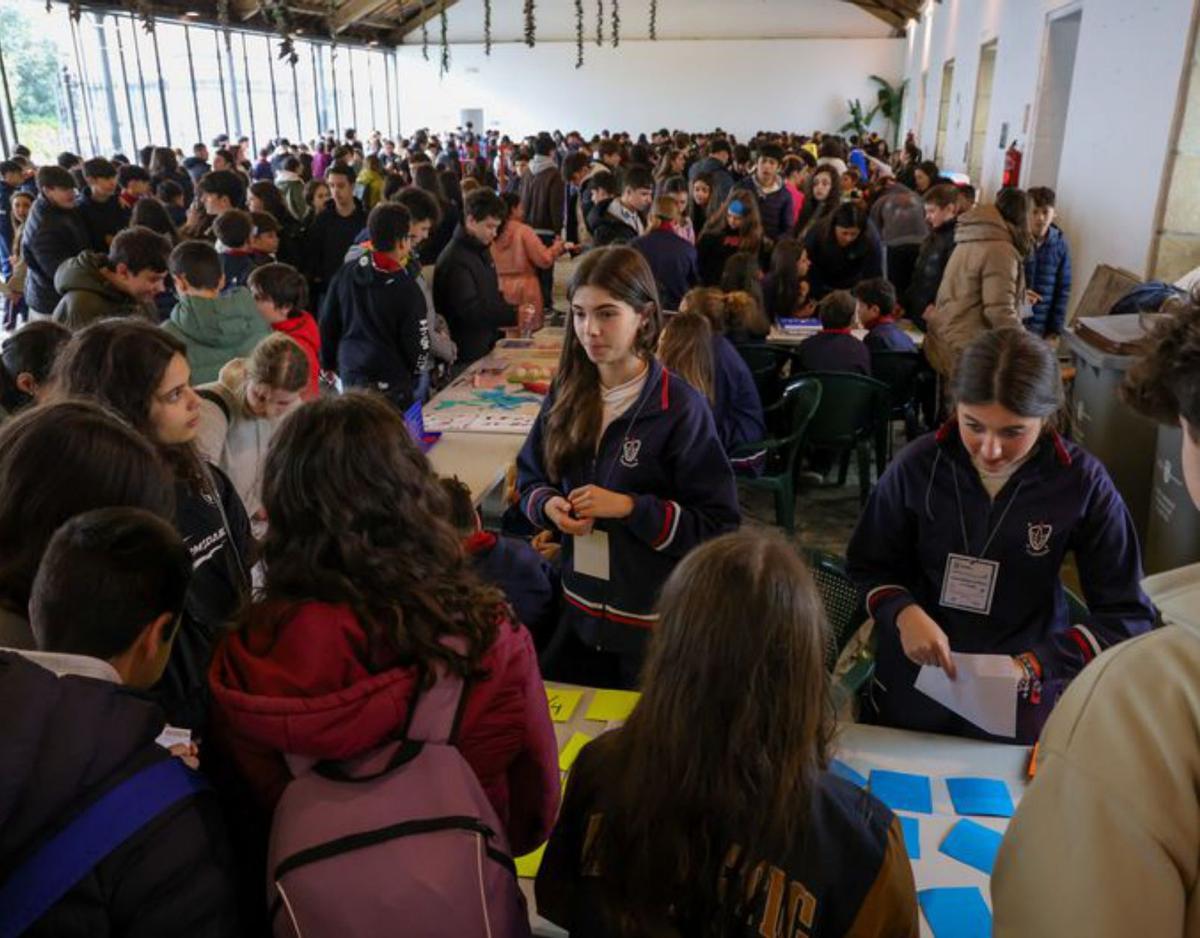 A Peixería se llenó de actividad educativa. | I.A.