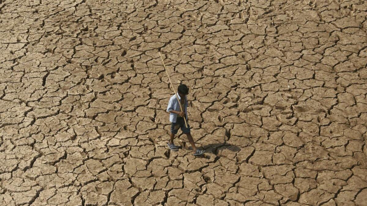 Olas de ‘calor extremo-extremo’ aparecen por primera vez en la Tierra