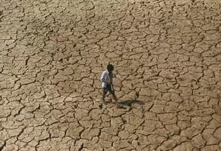 Olas de ‘calor extremo-extremo’ aparecen por primera vez en la Tierra