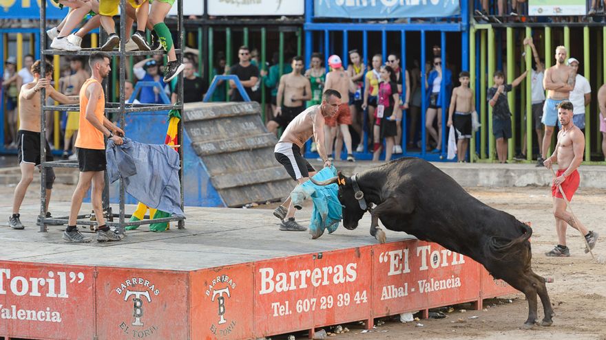La Paloma se queda corta en el estreno del concurso de ganaderías de la Vall