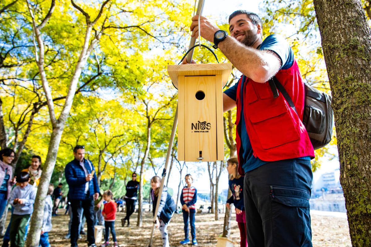 Actividad sobre pájaros y nidos en el Parc Tramvia de Montgat.