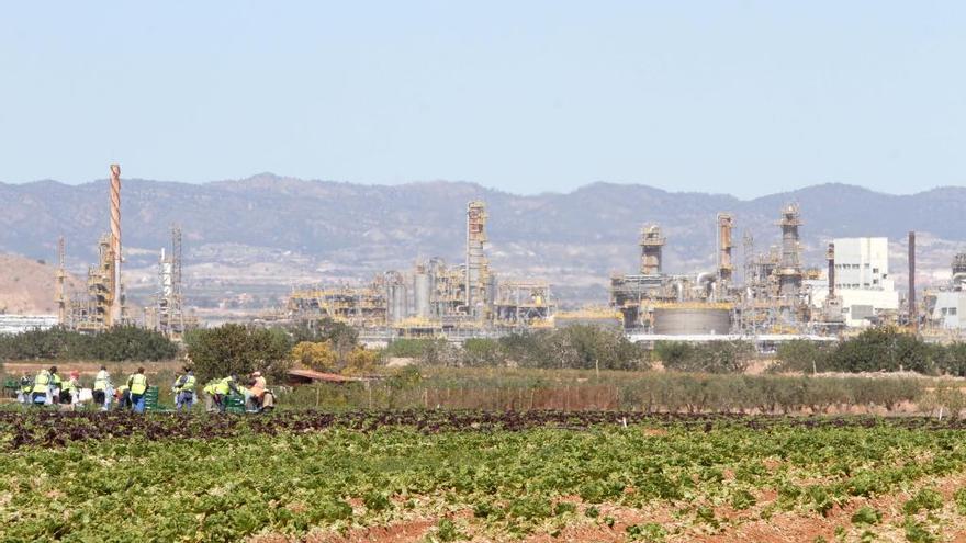 La Aljorra, en Cartagena, está en el punto de mira.