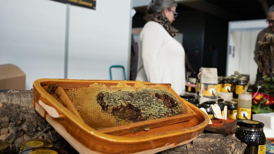 La entrada de miel adulterada frena el desarrollo de la apicultura de Zamora