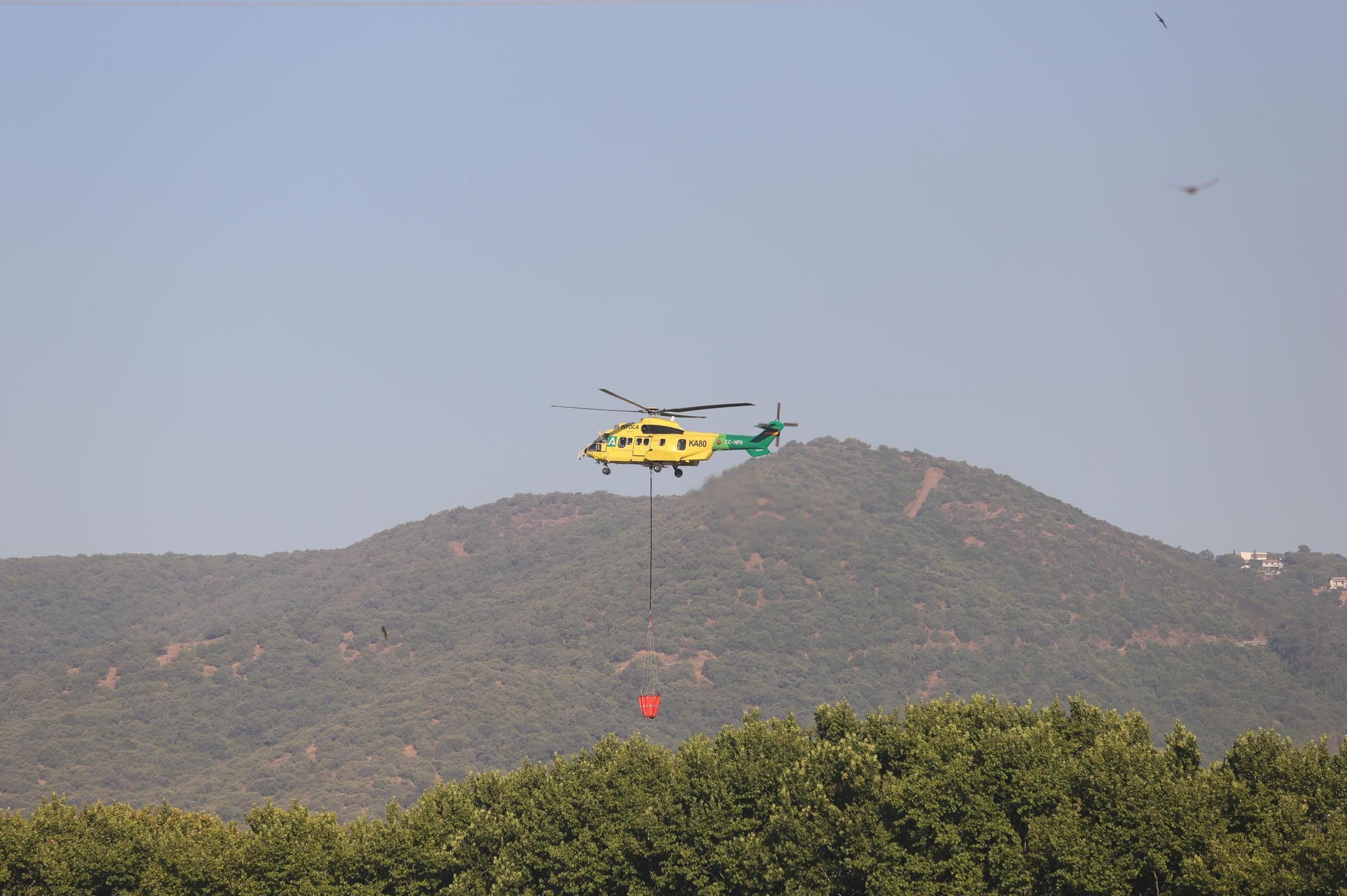 Las imágenes de la mañana en el entorno del incendio de La Albaida