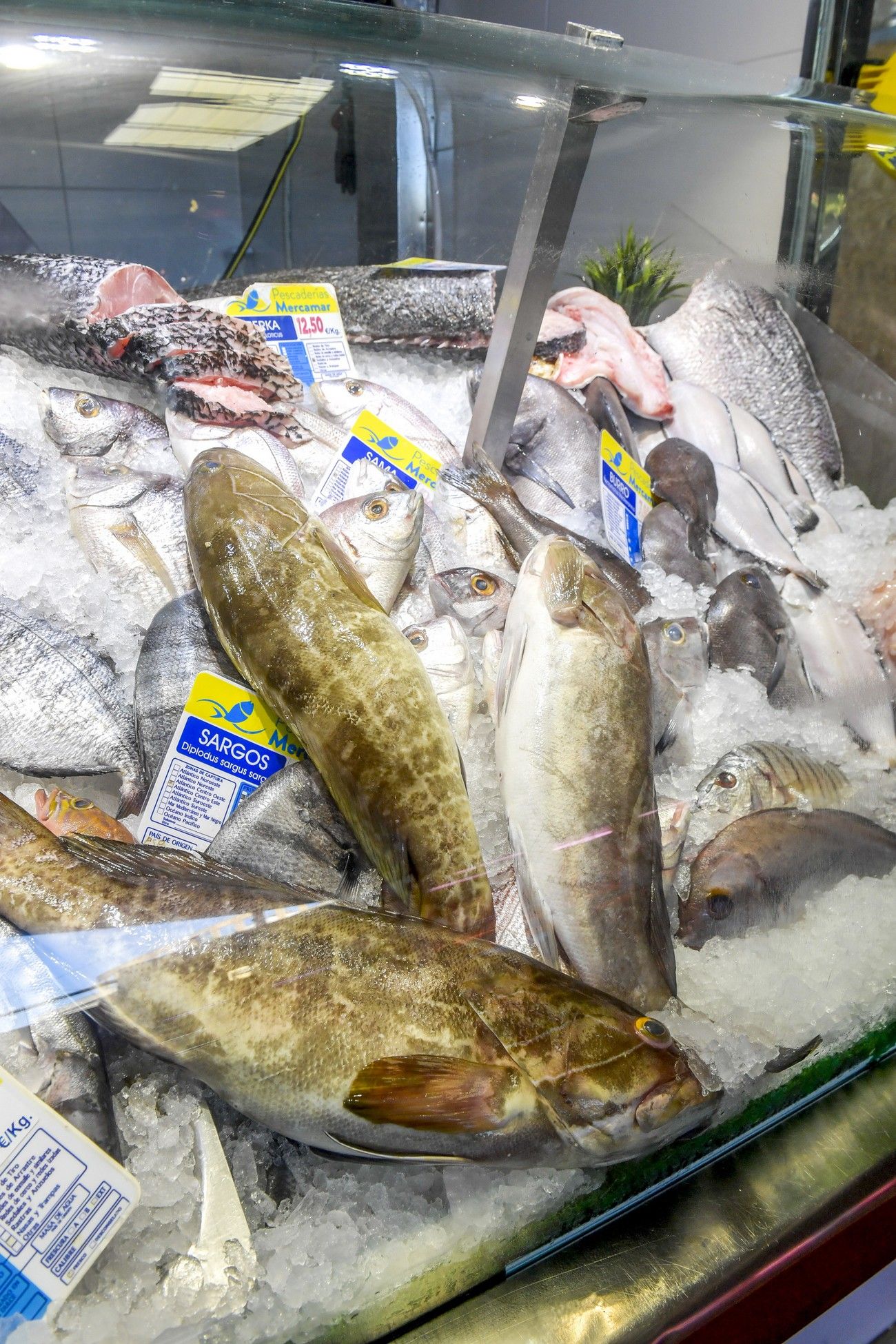 Compras para la cena de Navidad en el Mercado Municipal de Telde