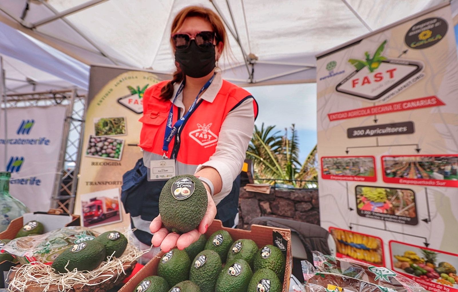 Feria del Aguacate en Tenerife