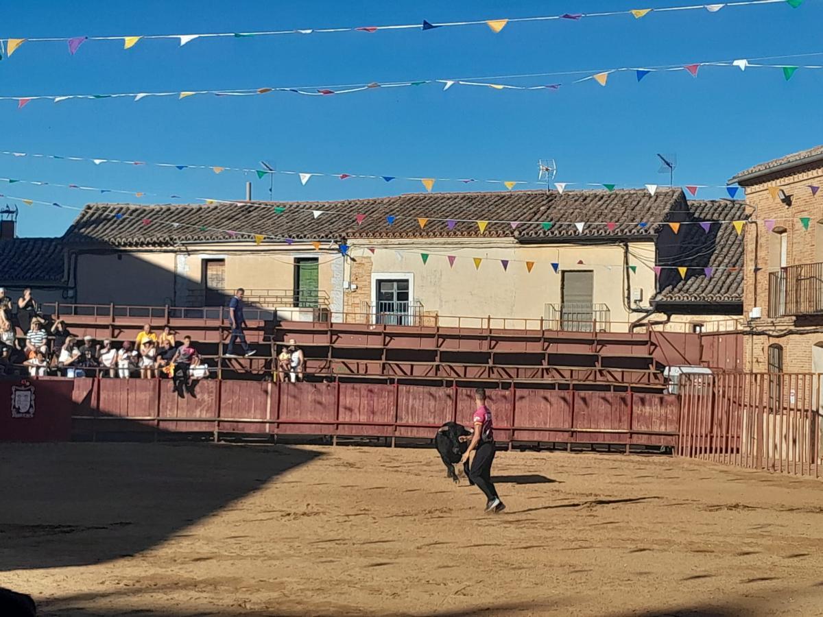 GALERÍA | Exhibición de cortes, quiebros y saltos en Morales de Toro