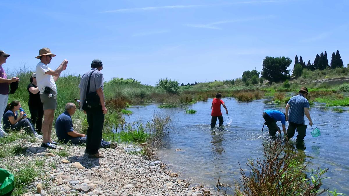 Imagen de archivo de la recogida de muestras de agua en el río Palància y el Mijares de la Fundación de voluntariado ambiental y custodia fluvial Limne-