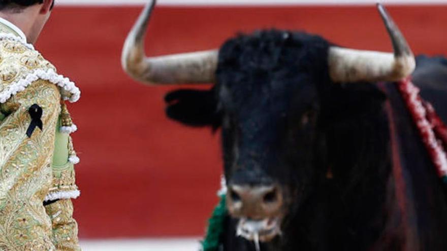 ¿Sabías que cuando un toro mata a un torero se sacrifica a toda su familia?